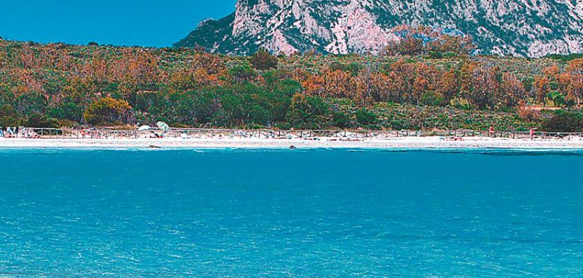 Sardegna, San Teodoro - Residenze San Teodoro E Dintorni 0