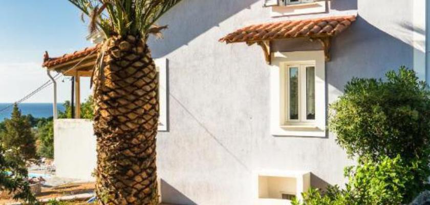 Grecia, Skala (Cefalonia) - Villa Eliza Studio 3