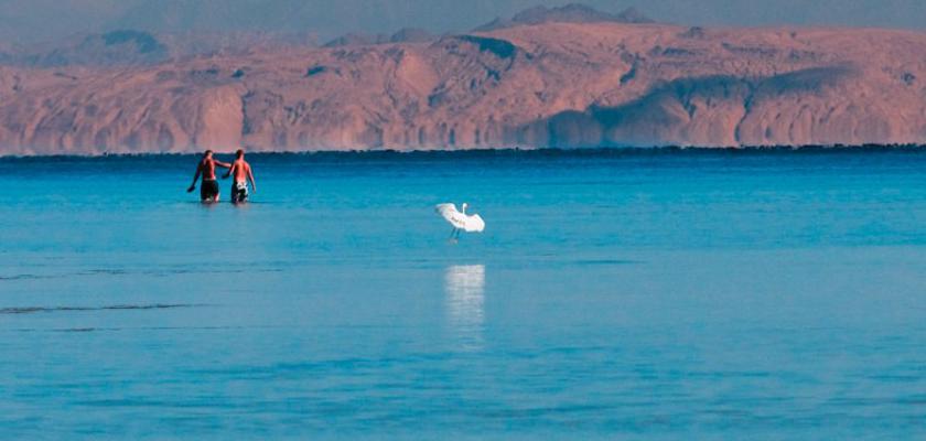 Mar Rosso, Nabq - Amwaj Oyoun Beach Resort 3
