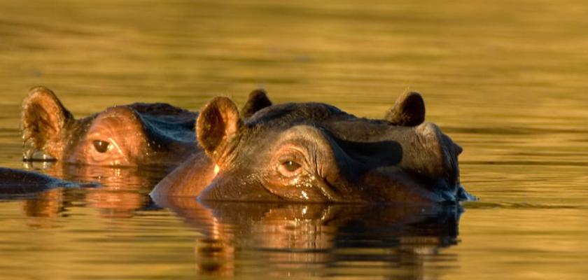 Sudafrica, Sudafrica - Voyager South Africa Bis 0