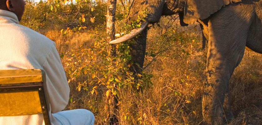 Sudafrica, Sudafrica - Voyager South Africa Bis 3