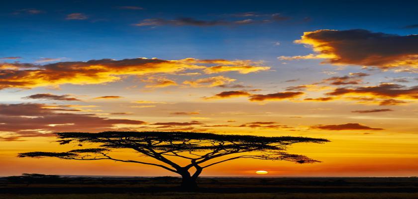 Sudafrica, Sudafrica - Voyager South Africa Bis 4