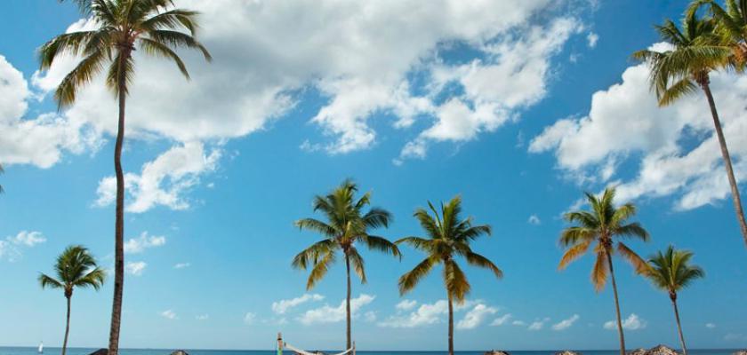 Repubblica Dominicana, Bayahibe - Bravo Viva Dominicus Beach E Palace 1