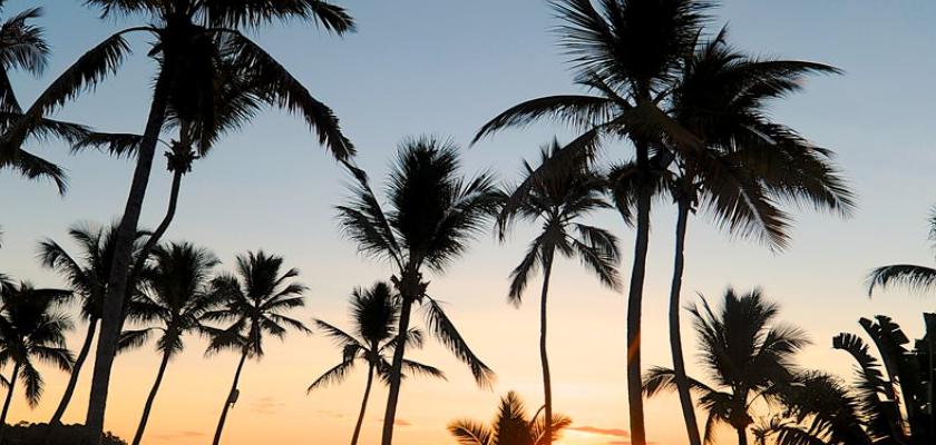 ,  - Tour Discovery Nosy Be 3