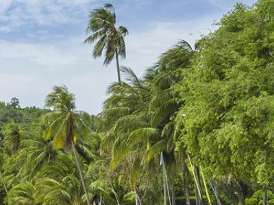 Thailandia, Phuket - Barcelo Coconut Island