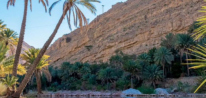 Oman, Oman - Intour Colori Dell'oman 0