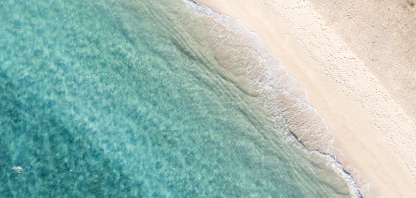 Mauritius, Isola di Rodrigues - Constance Tekoma Rodrigues 5