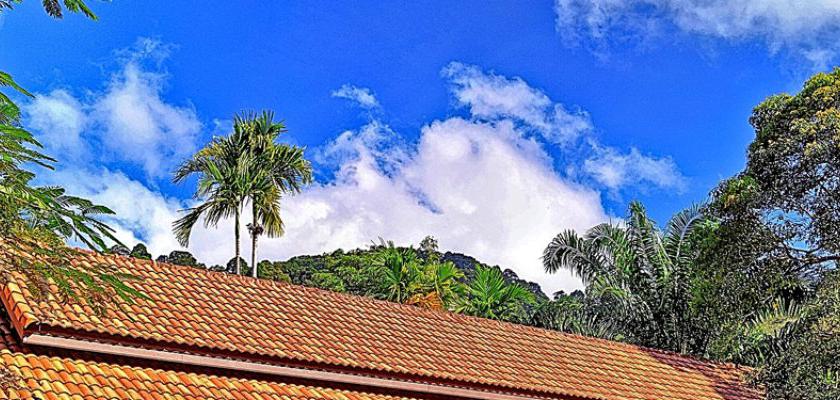 Thailandia, Karon Beach - Phuket Jungle Experience Resort 2