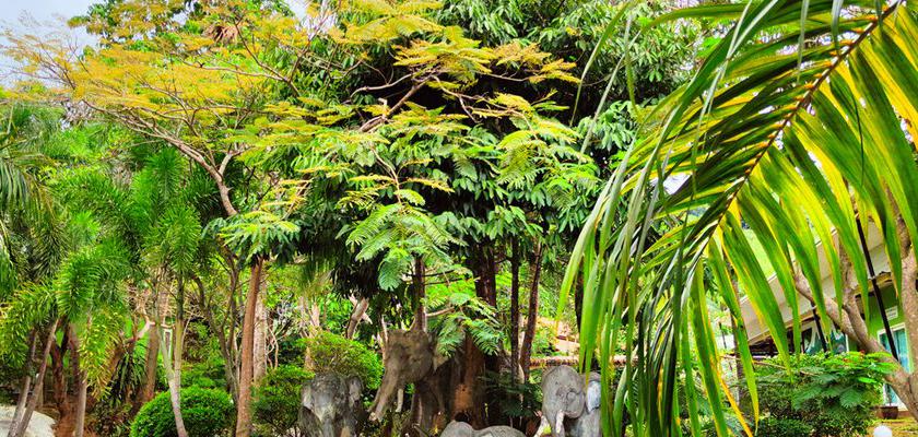 Thailandia, Karon Beach - Phuket Jungle Experience Resort 3