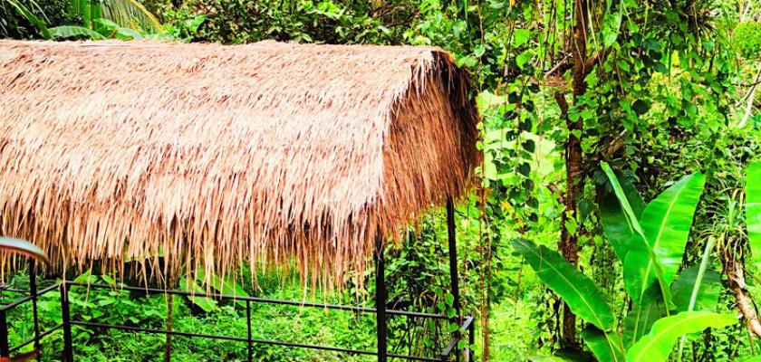 Thailandia, Karon Beach - Phuket Jungle Experience Resort 4