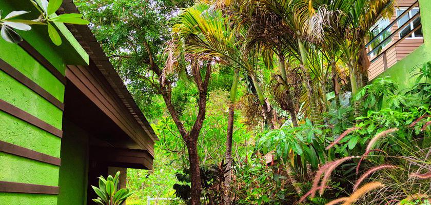 Thailandia, Karon Beach - Phuket Jungle Experience Resort 5
