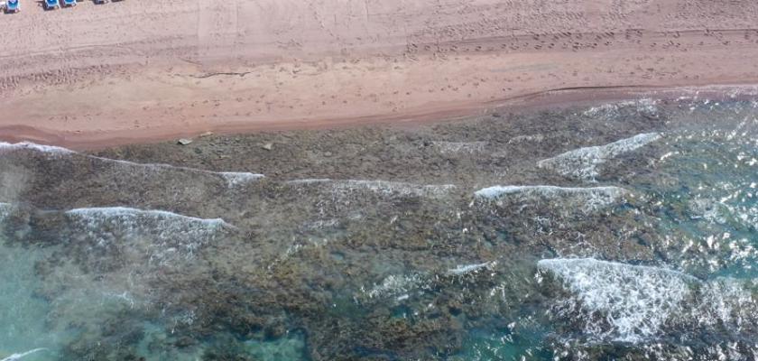 Mar Rosso, Hurghada - Calimera Blend Paradise Beach Resort 1