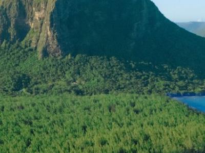 Mauritius, Le Morne Brabant - Riu Turquoise Resort