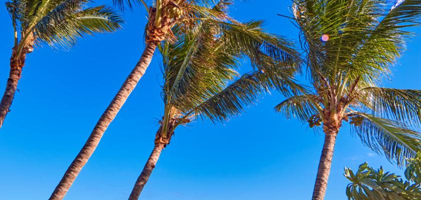 Mauritius, Le Morne Brabant - Riu Turquoise Resort 4