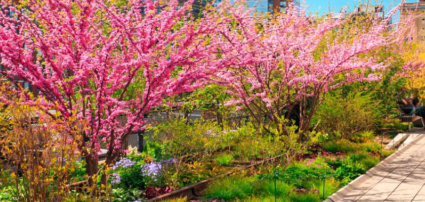 New York, New York - Voyager New York Extended 2